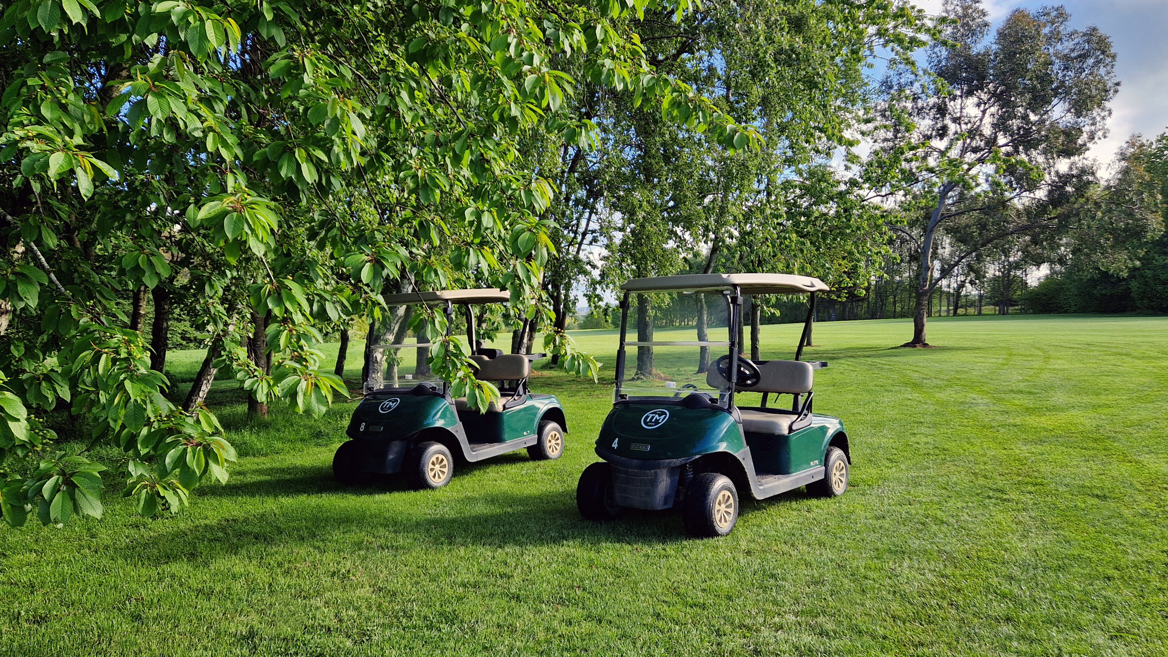 Two green golf buggies bearing The Manor logo parked under trees.