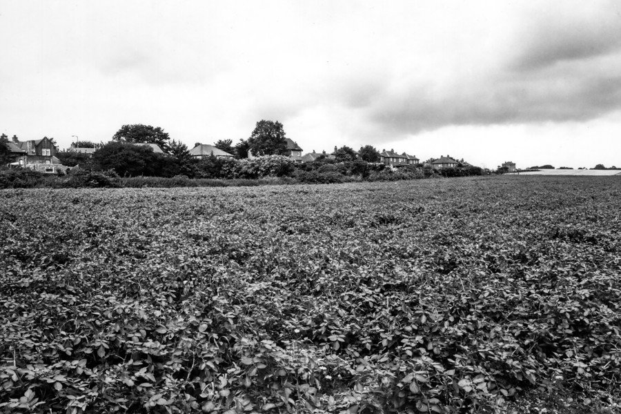 A black and white photo of the land when it was farmed.