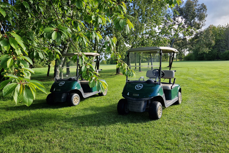 Two green golf buggies bearing The Manor logo parked under trees.